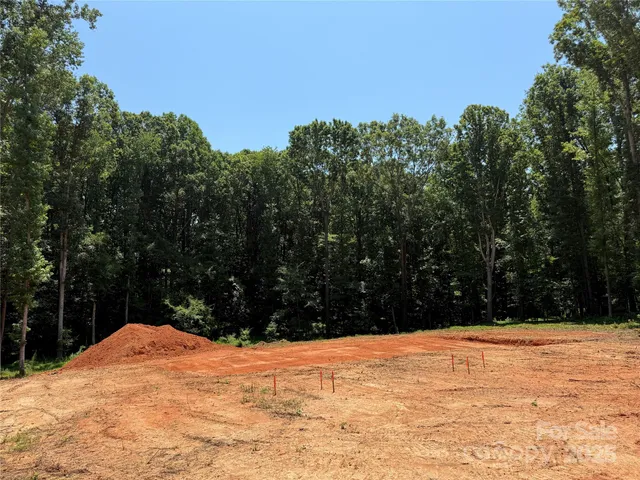 a street view with trees