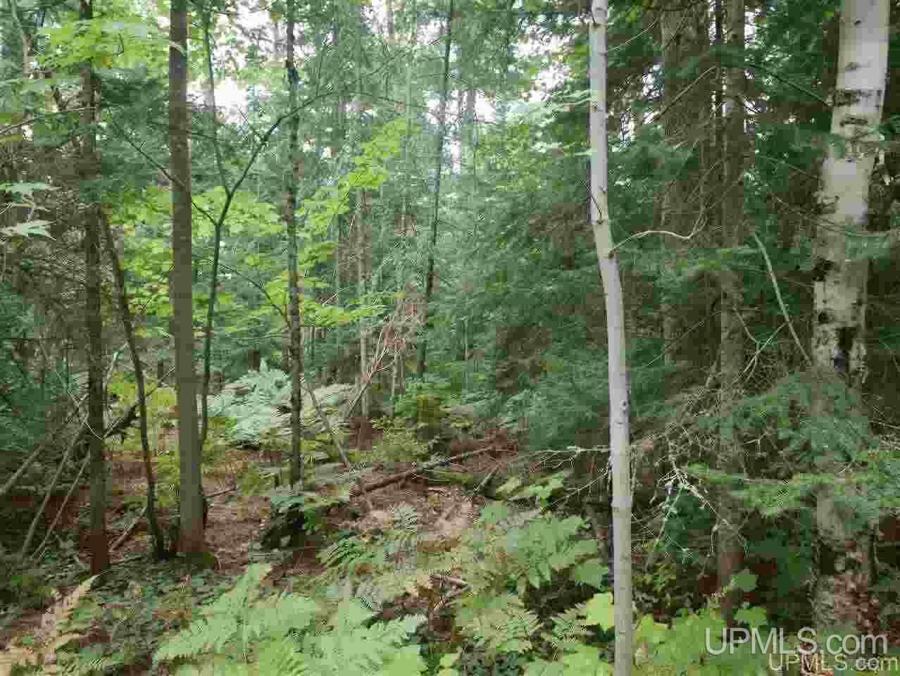 Lots 12-and 13 Lake Lily Road Mohawk, MI 49918 - Photo 14 of 27