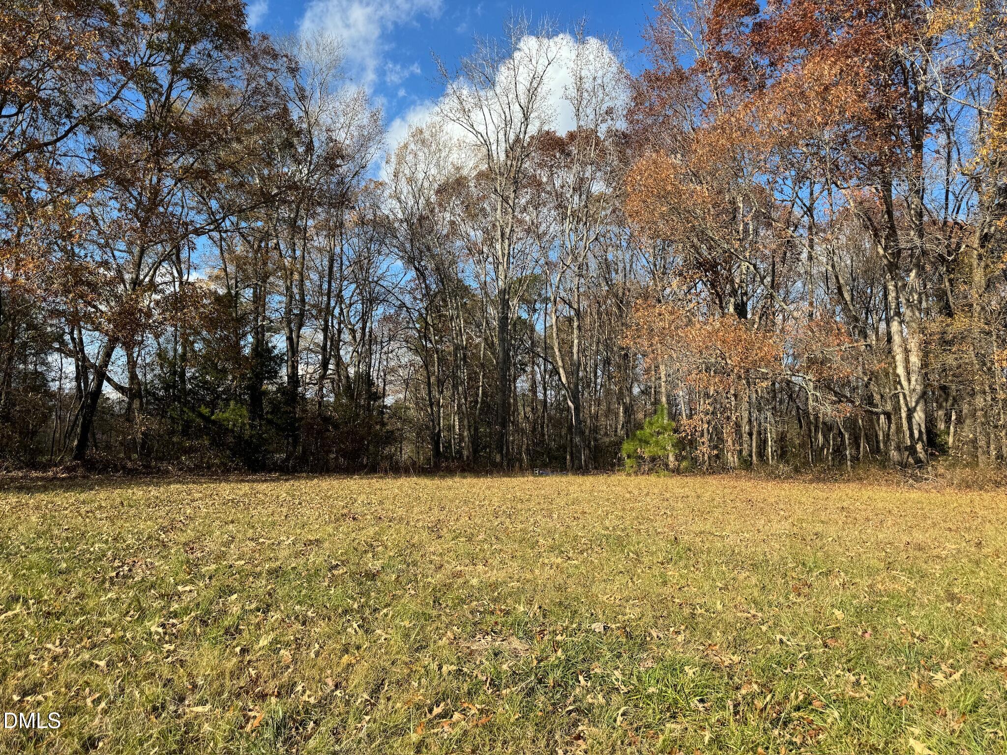 0 Martin Road Zebulon, NC 27597 - Photo 31 of 41 IMG_8731
