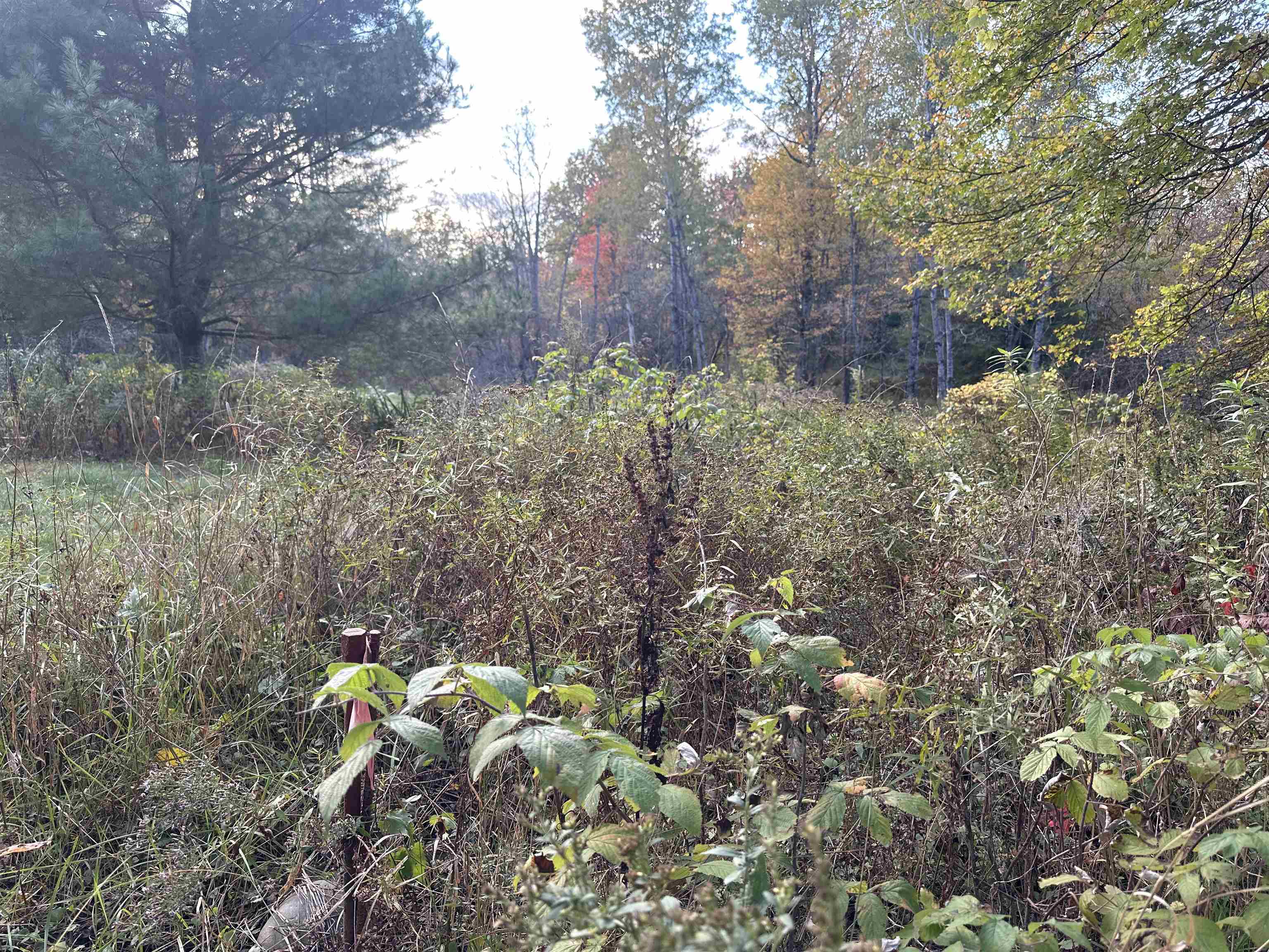 70 Hodge Hill Road, Unit 57 Lisbon, NH 03585 - Photo 2 of 8