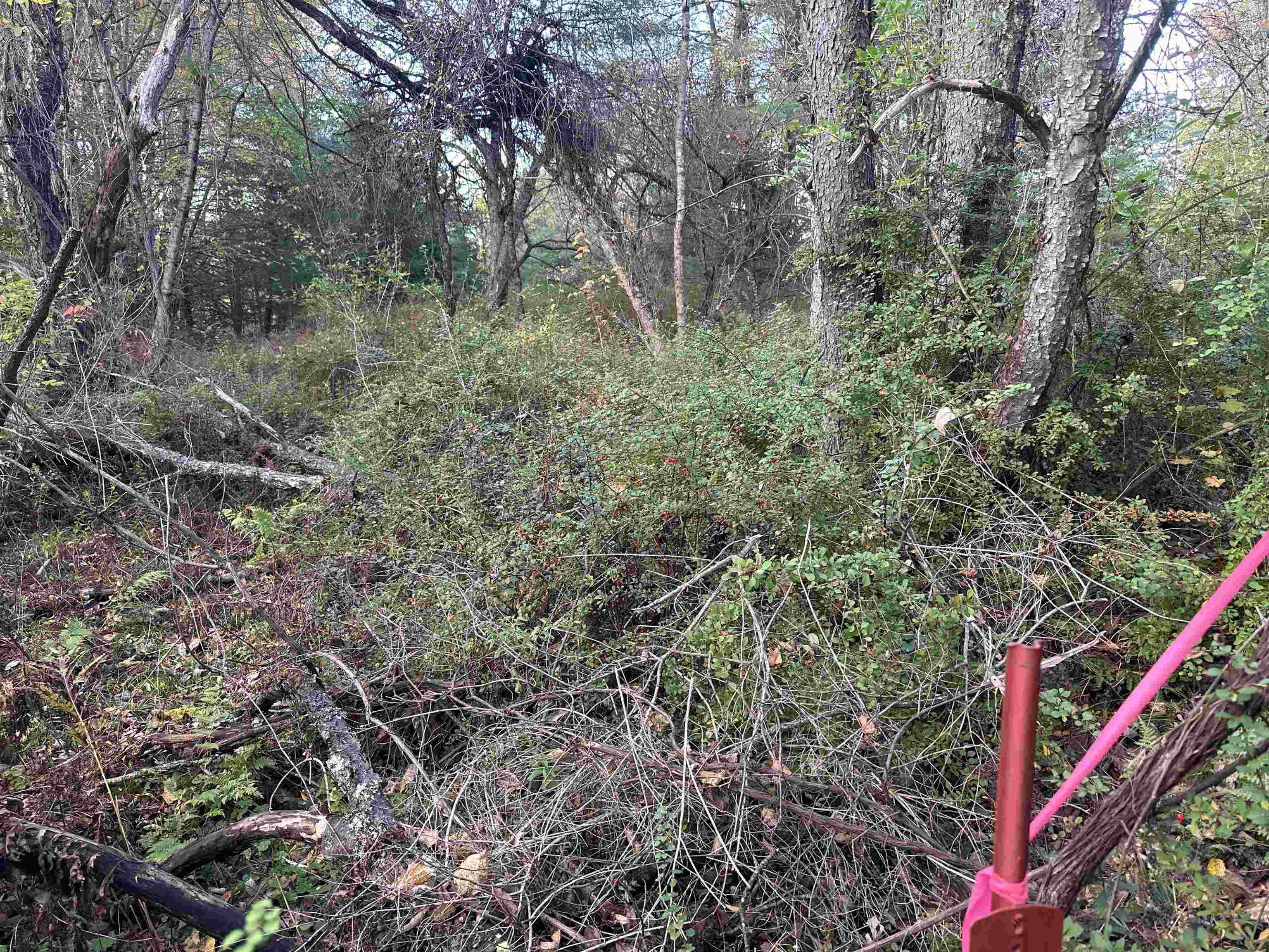 70 Hodge Hill Road, Unit 57 Lisbon, NH 03585 - Photo 7 of 8