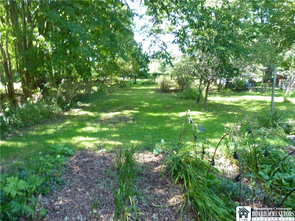 3409 Busti-Stillwater Road Busti, NY 14701 - Photo 24 of 49 Side yard area