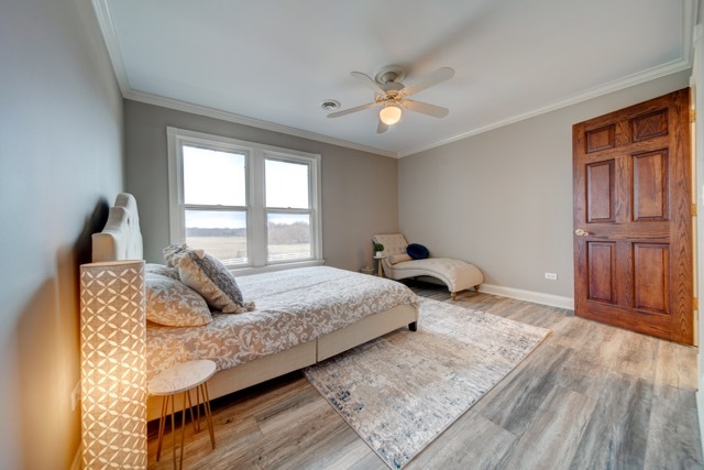 3870 North 3000 W Road Bourbonnais, IL 60914 - Photo 24 of 47 a bedroom with a large bed and a chandelier