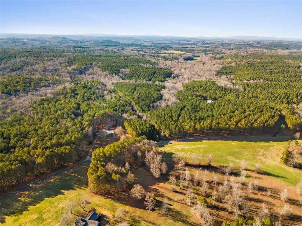 0 Philpot Road Buchanan, GA 30113 - Photo 1 of 1