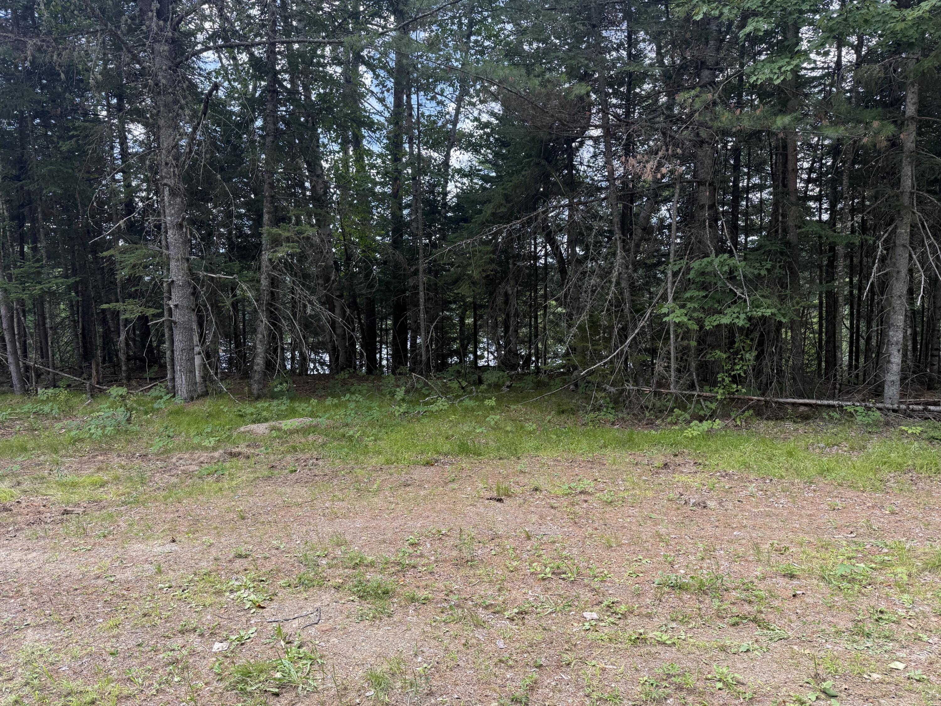 99 Flagstaff Road Eustis, ME 04936 - Photo 6 of 10 IMG_4909