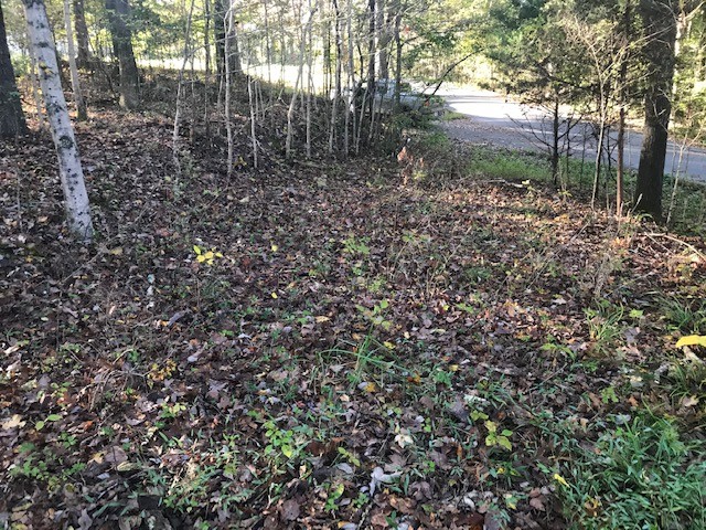 0 Tank Hill Road Erin, TN 37061 - Photo 4 of 7 Gallery Image 4