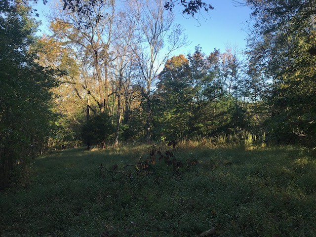 0 Tank Hill Road Erin, TN 37061 - Photo 5 of 7 Gallery Image 5
