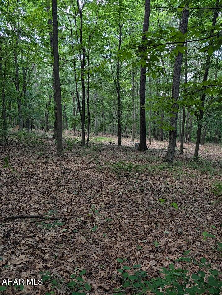 0 Mosquito Hollow Road Six Mile Run, PA 16679 - Photo 26 of 29
