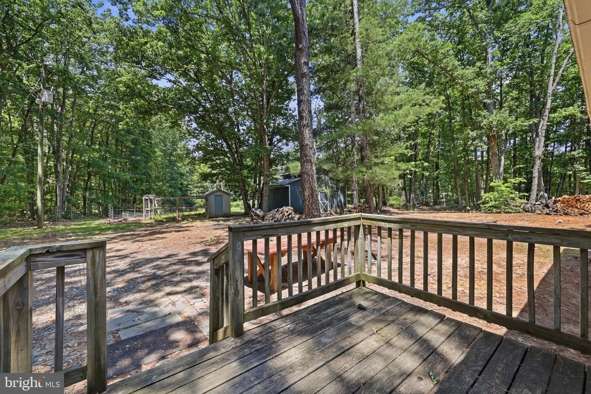 483 Haden Martin Road Palmyra, VA 22963 - Photo 9 of 18
