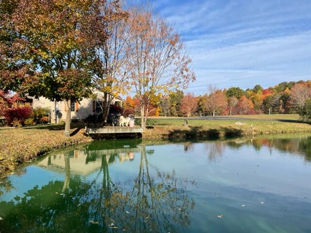 830 Sallie Vanhook Road Somerset, KY 42501 - Photo 56 of 117 IMG_6867