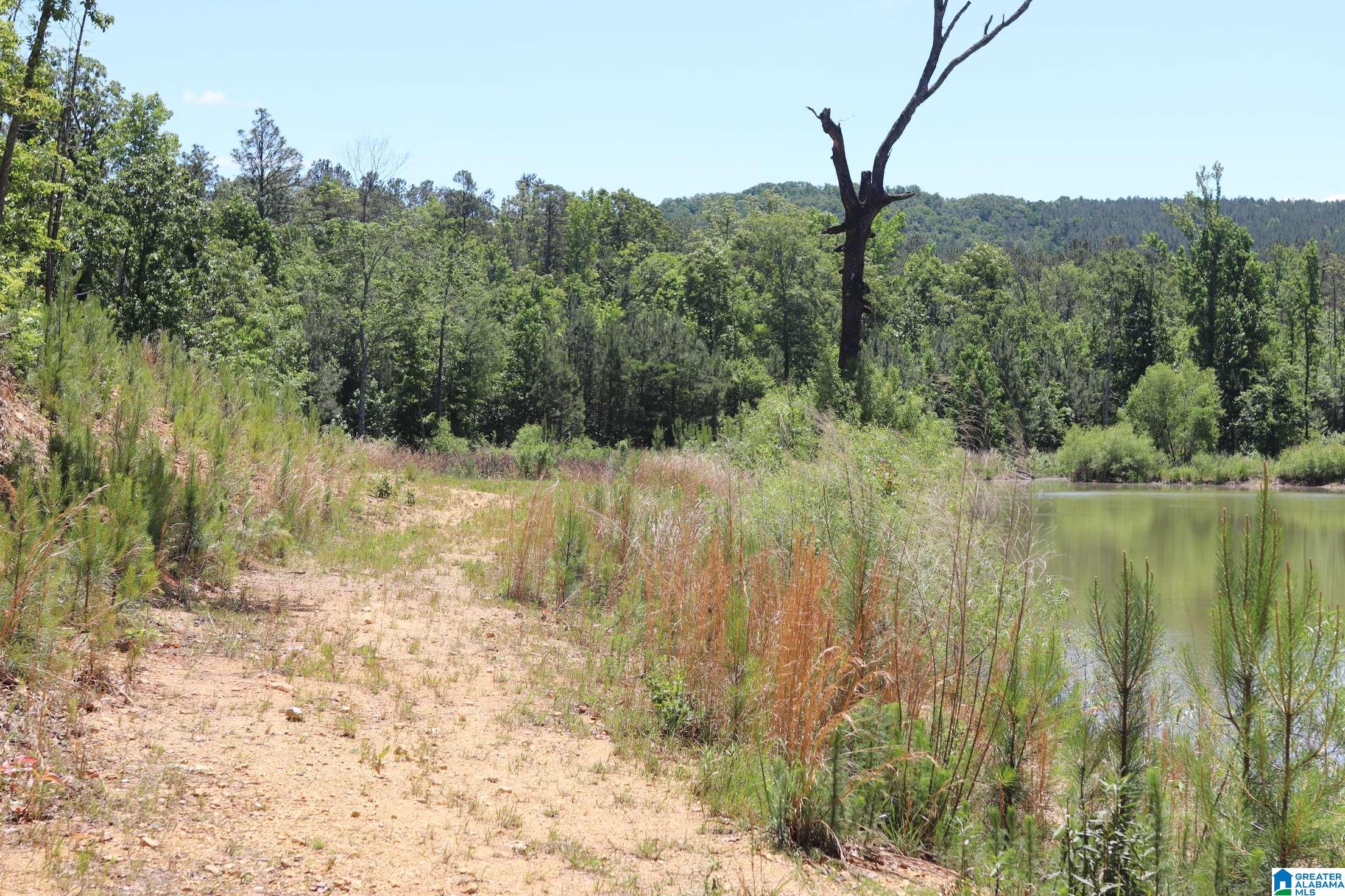 2930 Shocco Springs Road Talladega, AL 35160 - Photo 45 of 93