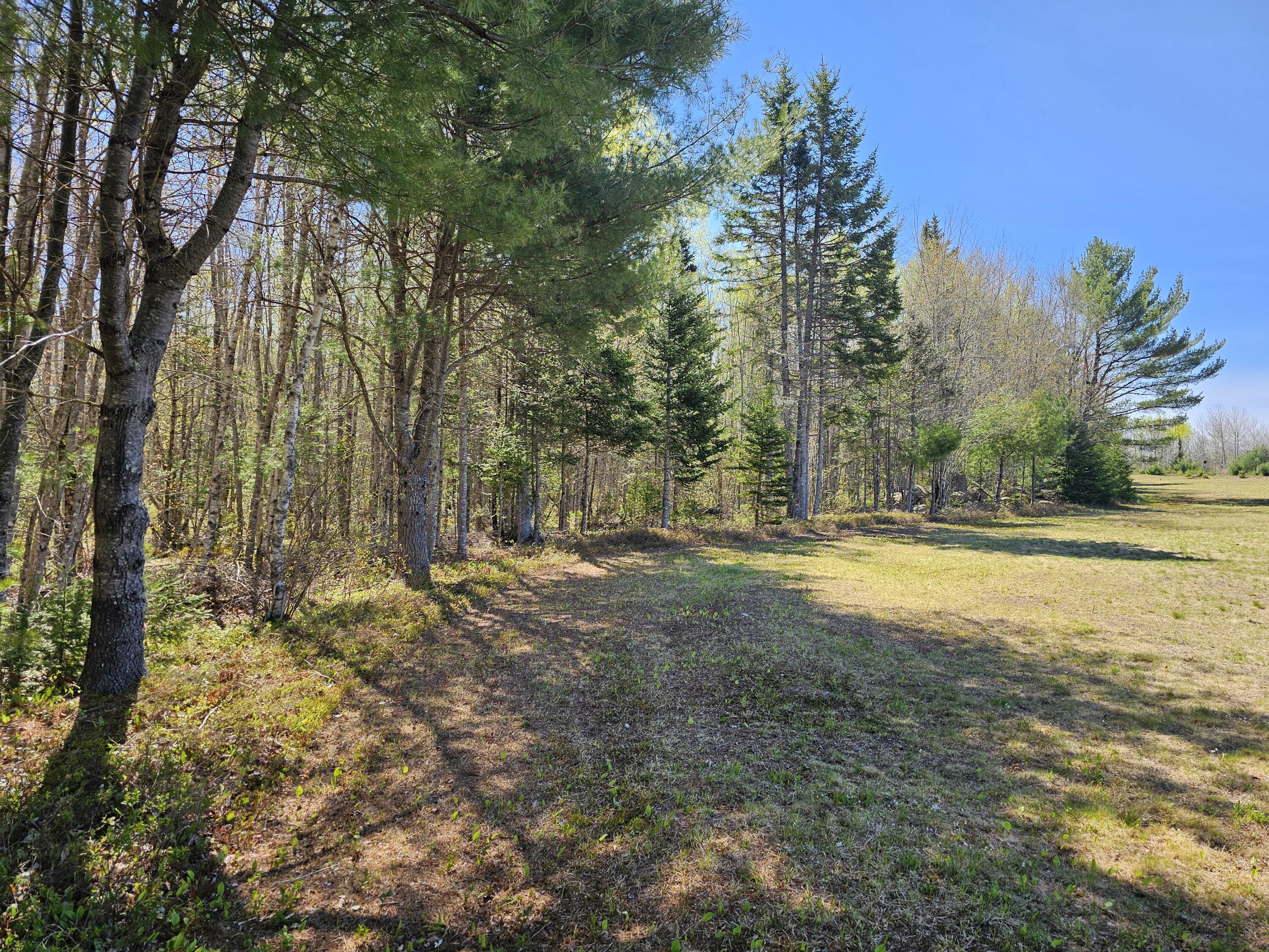 0 Georges Pond Road Franklin, ME 04634 - Photo 5 of 43 20250513_100741
