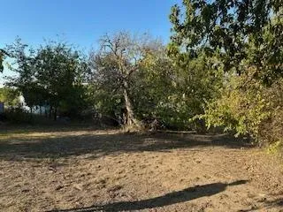 a view of a yard with wooden fence