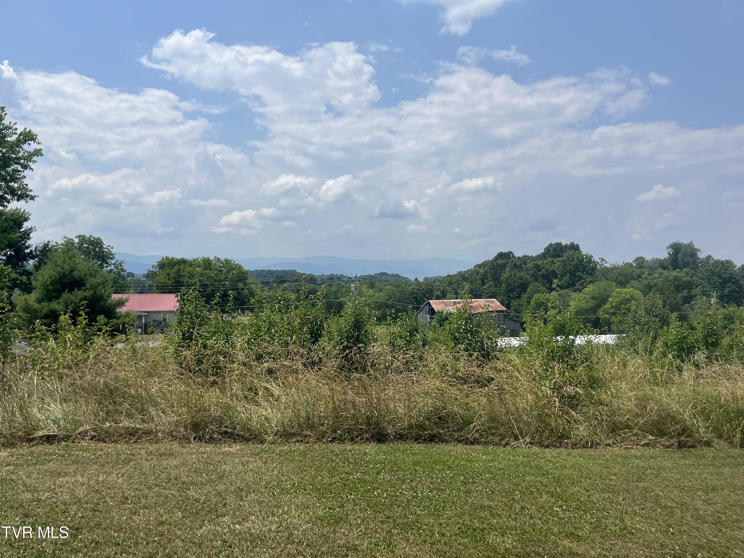 413 Rambling Road Jonesborough, TN 37659 - Photo 15 of 15 IMG_9072