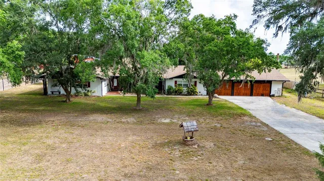 a view of a tree in a park