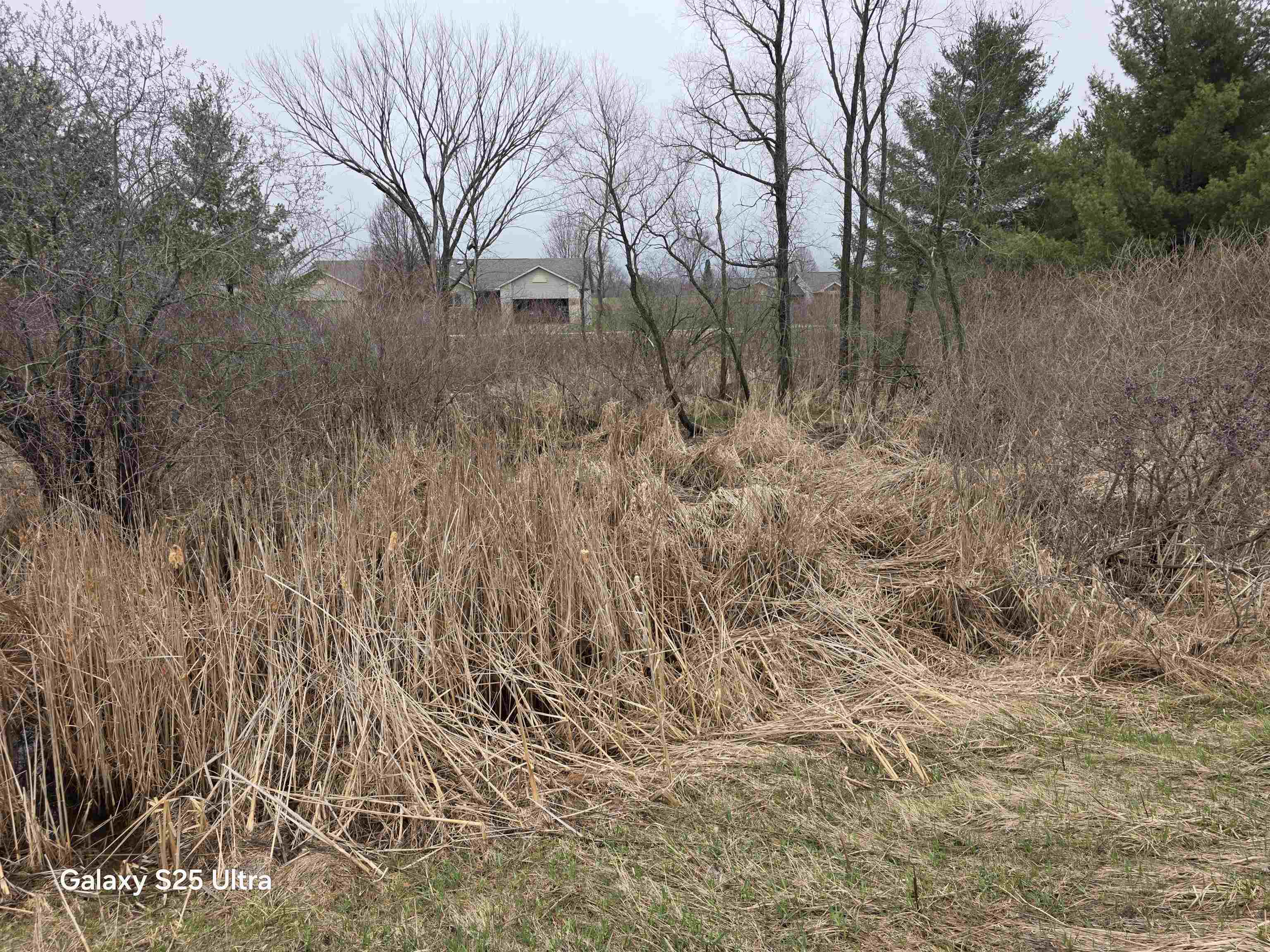 Lot 551 Hockaday Road, Unit HOCKADAY & DORMIE DR Gladwin, MI 48624 - Photo 10 of 11