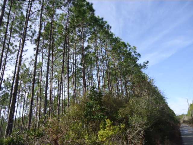 586 Clark's Landing Road Carrabelle, FL 32322 - Photo 1 of 1 Gallery Image 1