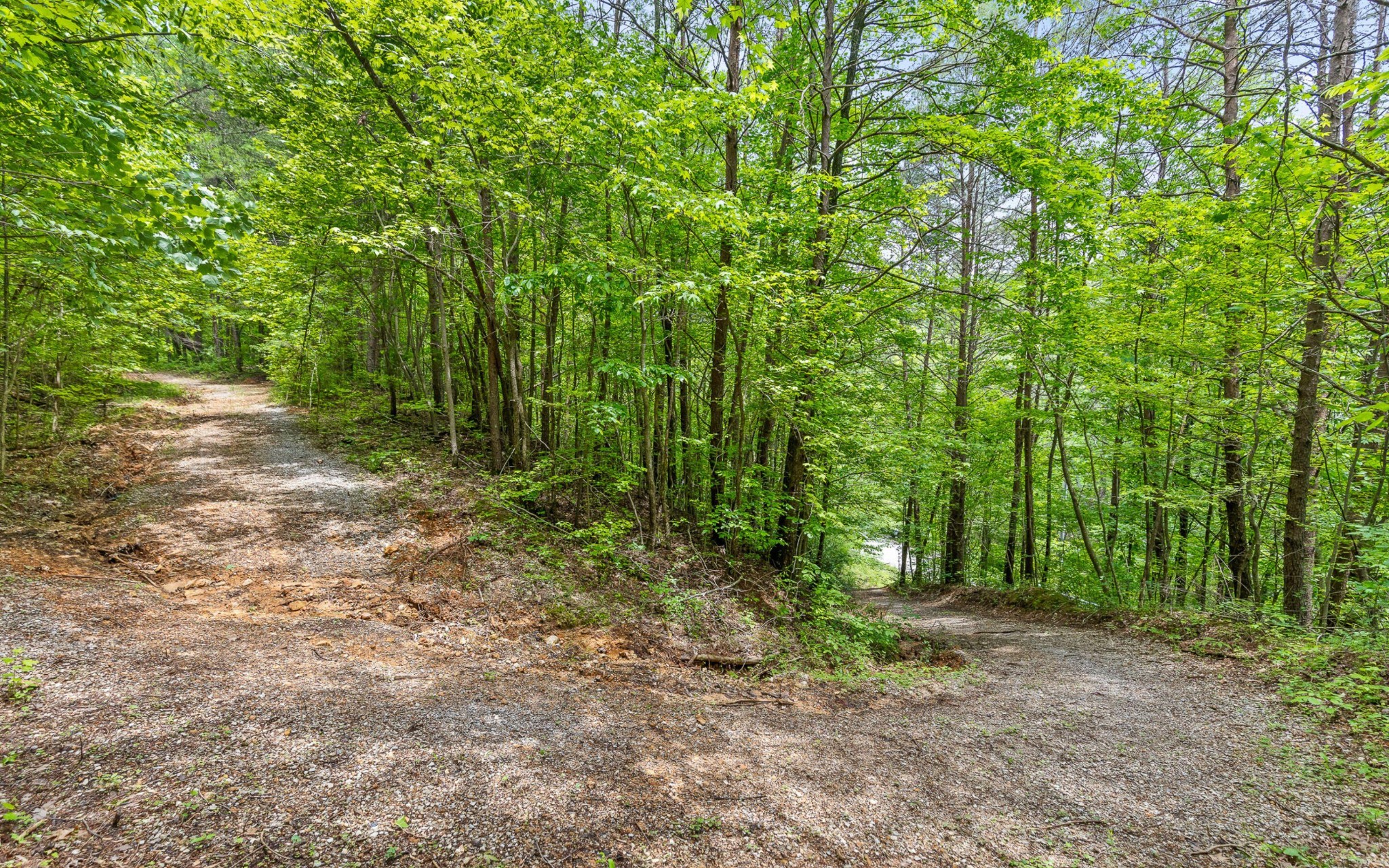 0 East Brow Road Chattanooga, TN 37415 - Photo 13 of 31 a view of outdoor space and trees