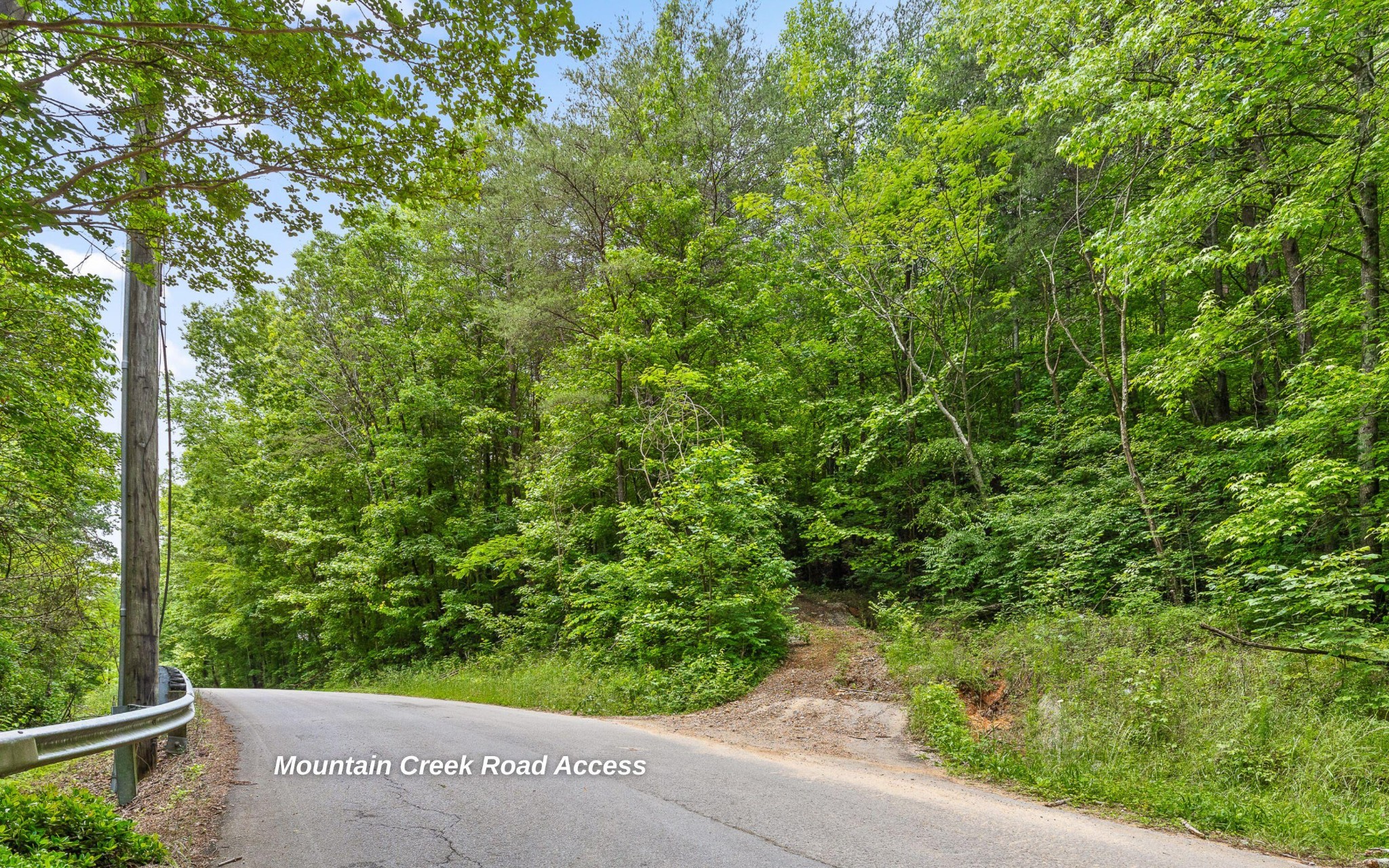 0 East Brow Road Chattanooga, TN 37415 - Photo 10 of 31 a view of a yard with plants
