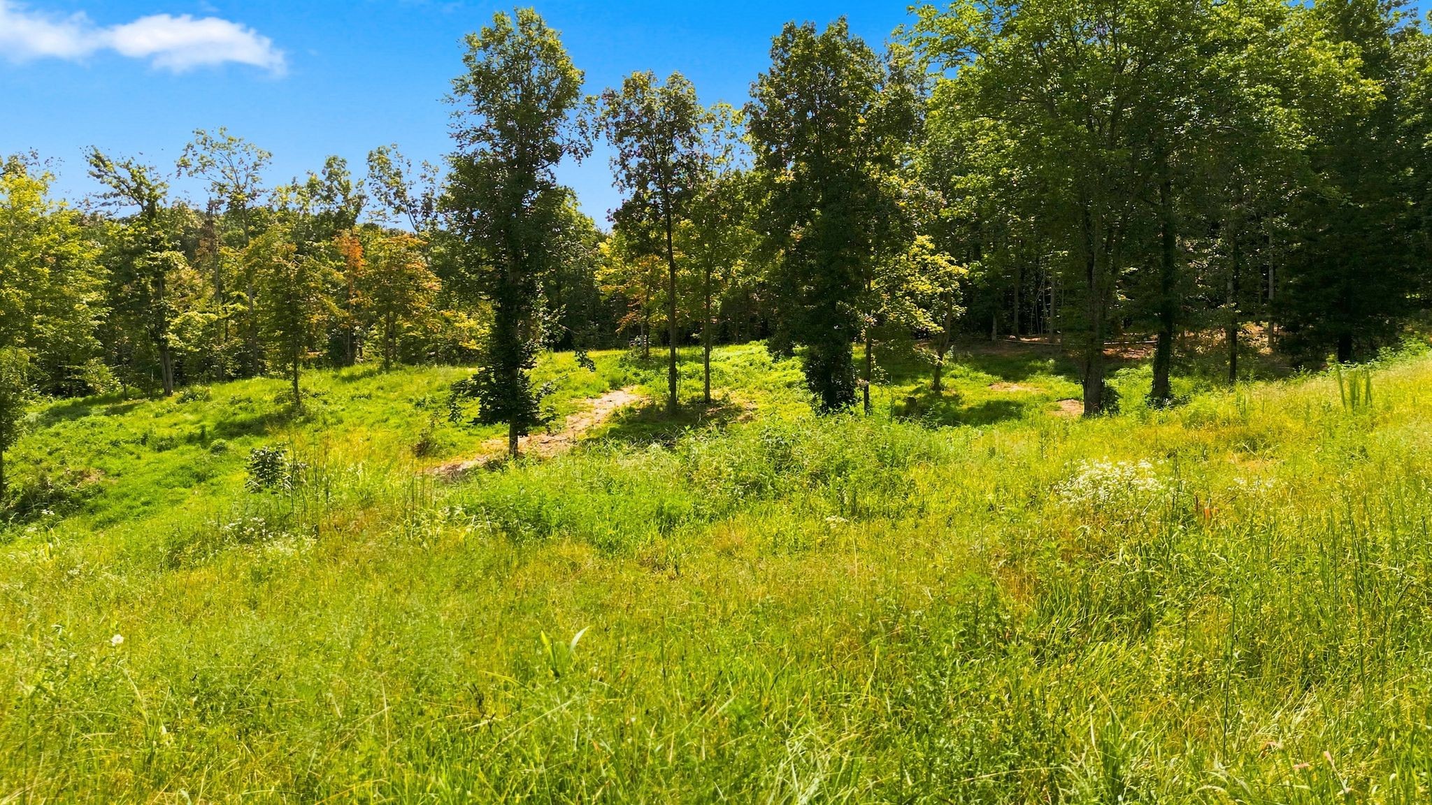 1086 Red Oak Road Charlotte, TN 37036 - Photo 2 of 24 Gallery Image 2