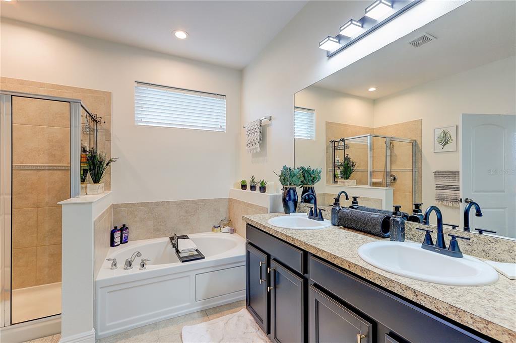 2410 Hawks Point Court Ruskin, FL 33570 - Photo 36 of 82 a bathroom with a granite countertop sink a large mirror and a bathtub