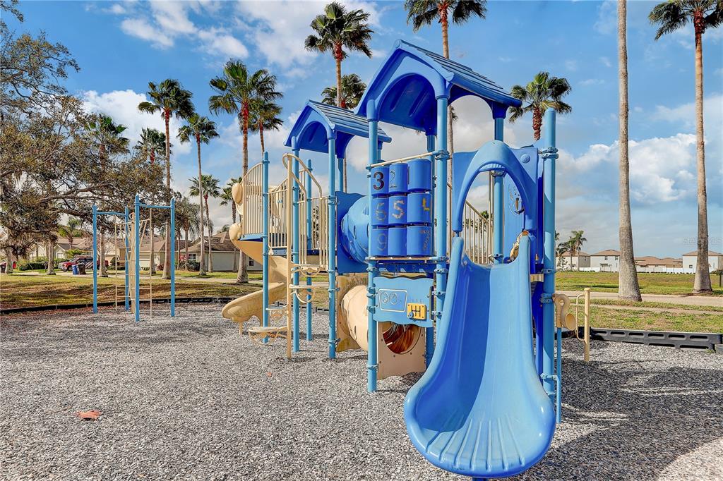 2410 Hawks Point Court Ruskin, FL 33570 - Photo 60 of 82 a backyard of a house with barbeque oven table and chairs