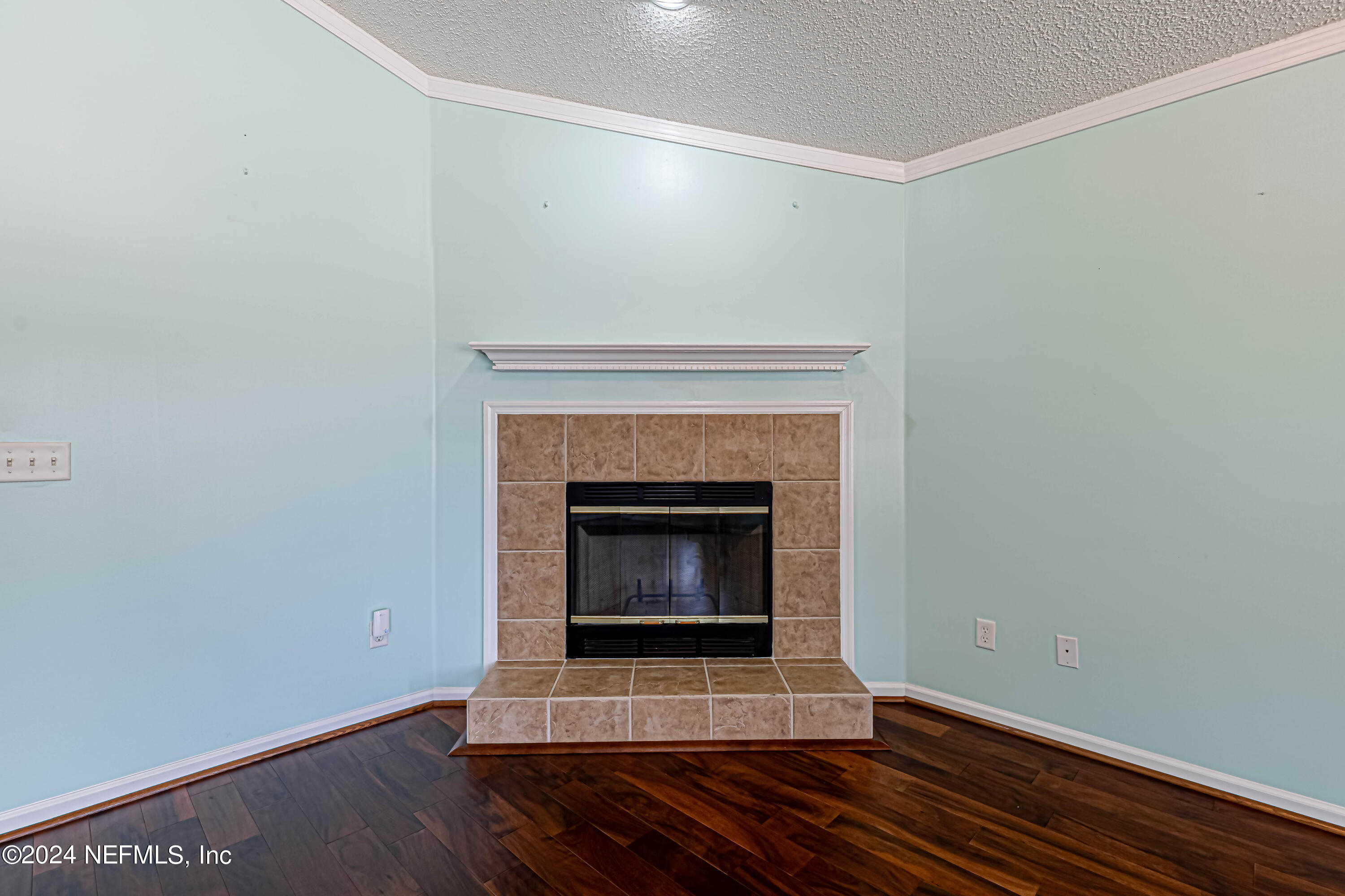 9380 Lockheed Lane Jacksonville, FL 32221 - Photo 9 of 40 a living room with a fireplace