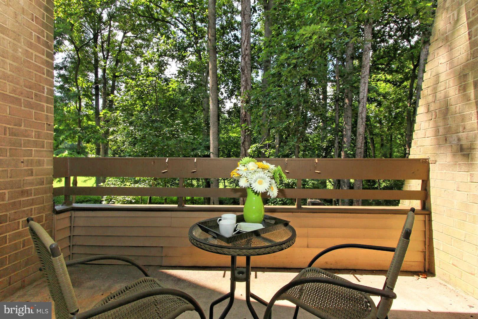 2114 Green Watch Way, Unit 200 Reston, VA 20191 - Photo 13 of 30 Exterior Rear