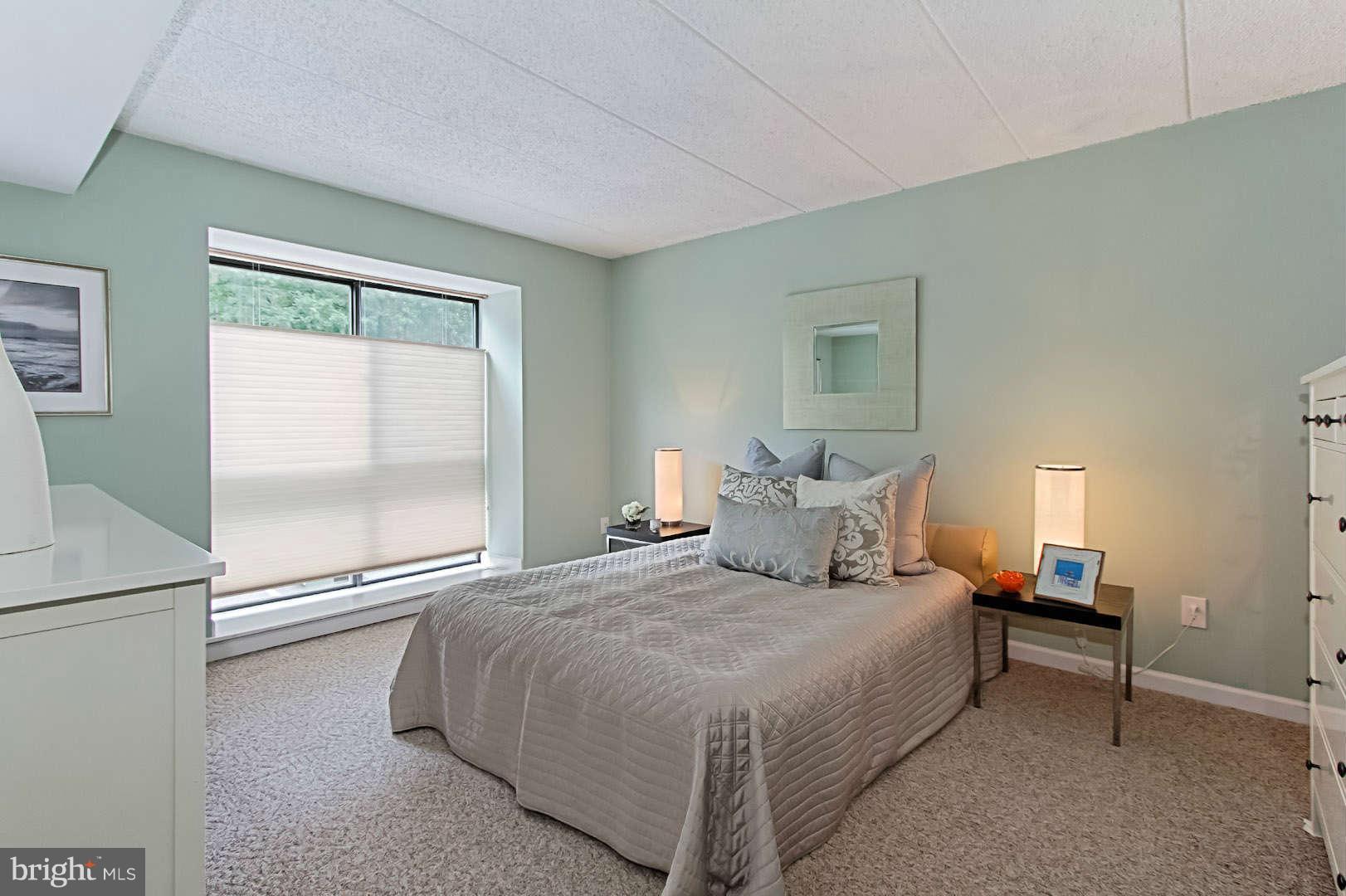 2114 Green Watch Way, Unit 200 Reston, VA 20191 - Photo 15 of 30 Bedroom Master