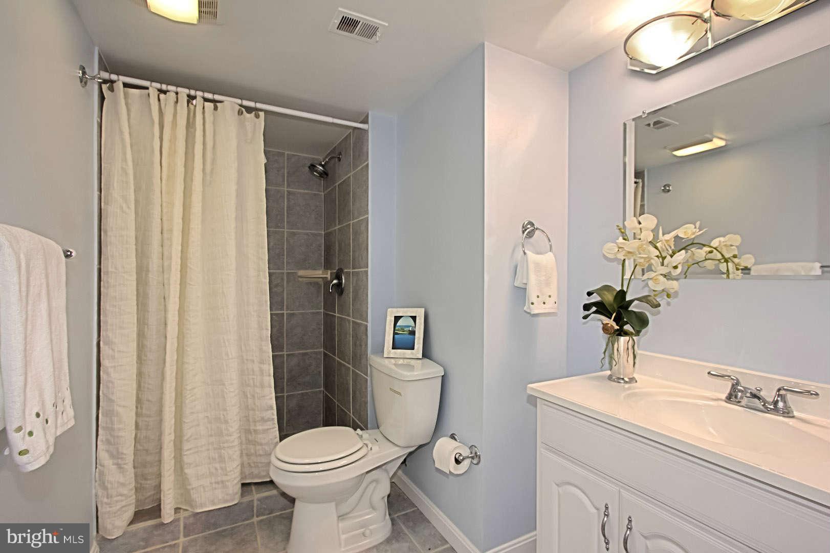 2114 Green Watch Way, Unit 200 Reston, VA 20191 - Photo 16 of 30 Bath Master