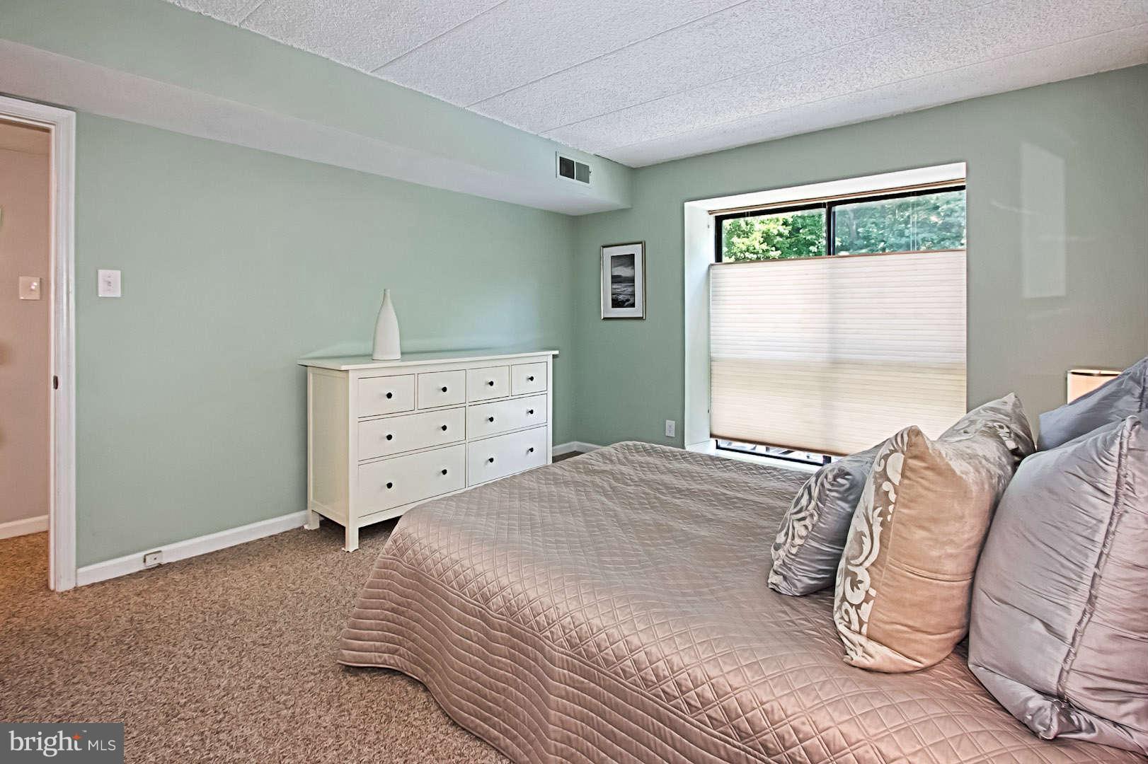 2114 Green Watch Way, Unit 200 Reston, VA 20191 - Photo 17 of 30 Bedroom Master