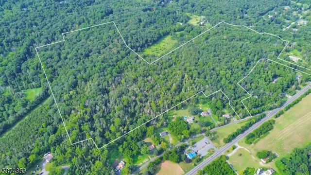 a view of a lush green forest