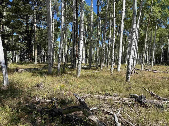 $55,000 | 121 Ridge Road, Cimarron, CO 81220