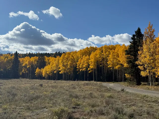 $55,000 | 121 Ridge Road, Cimarron, CO 81220