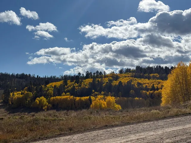 $55,000 | 121 Ridge Road, Cimarron, CO 81220