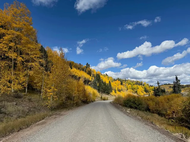 $55,000 | 121 Ridge Road, Cimarron, CO 81220