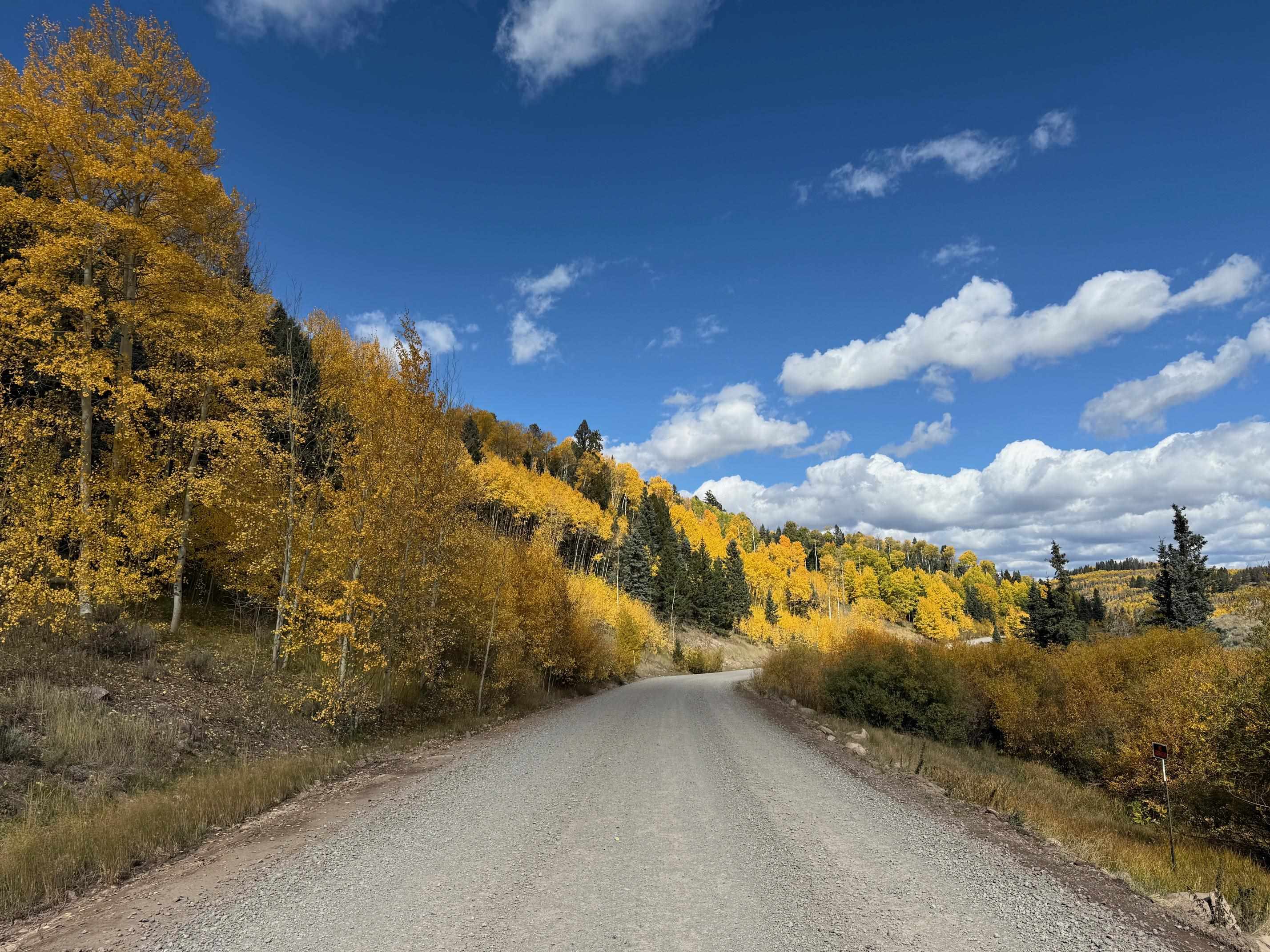 121 Ridge Road Cimarron, CO 81220 - Photo 10 of 13