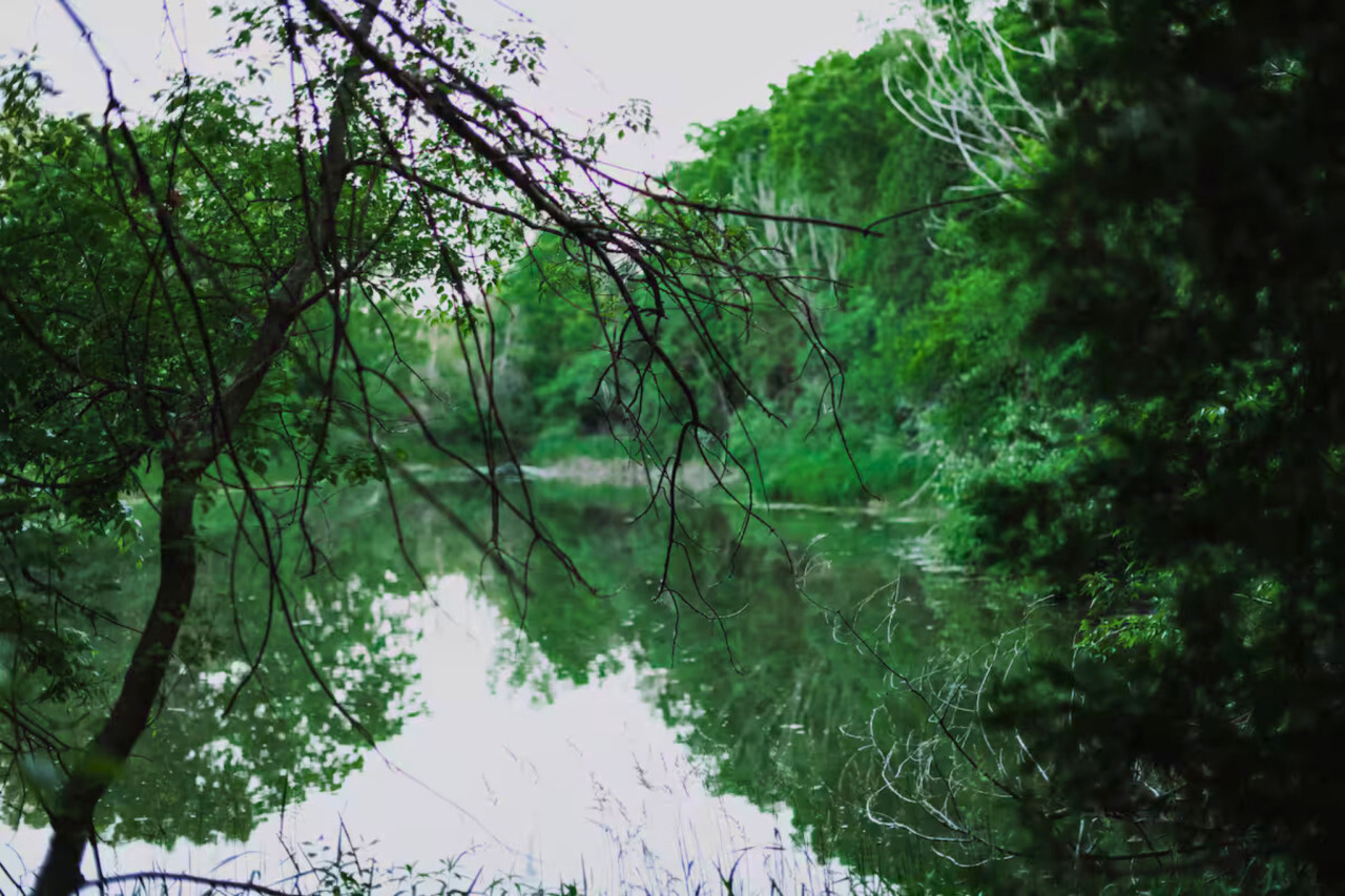 N3075 Hardscrabble Road Palmyra, WI 53156 - Photo 34 of 44 Spring Fed Ponds 3