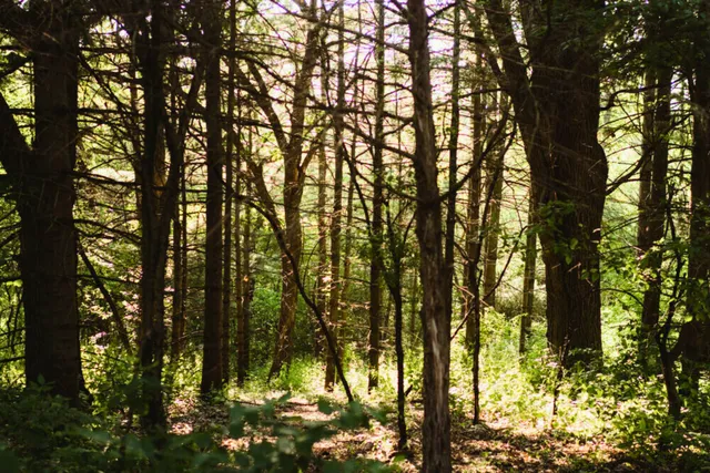 $1,900,000 | N3075 Hardscrabble Road, Palmyra, WI 53156