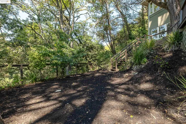 a big yard with lots of green space