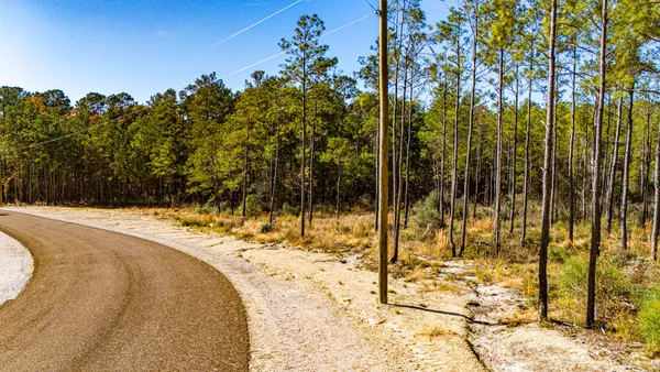 a view of yard with large trees
