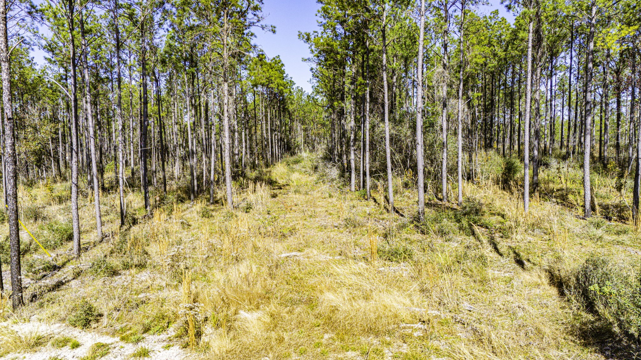 25 Magnolia Ranch Road Onalaska, TX 77360 - Photo 16 of 18 a view of under construction area