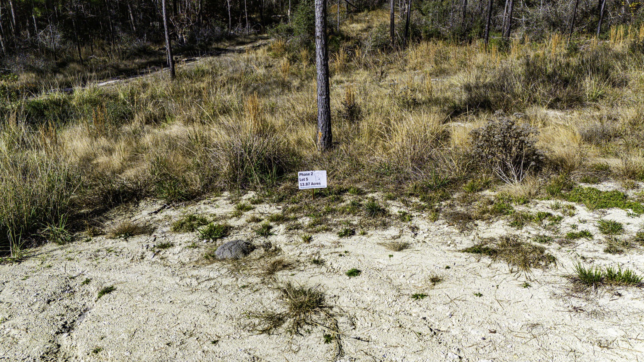 25 Magnolia Ranch Road Onalaska, TX 77360 - Photo 17 of 18 a view of a yard with wooden fence