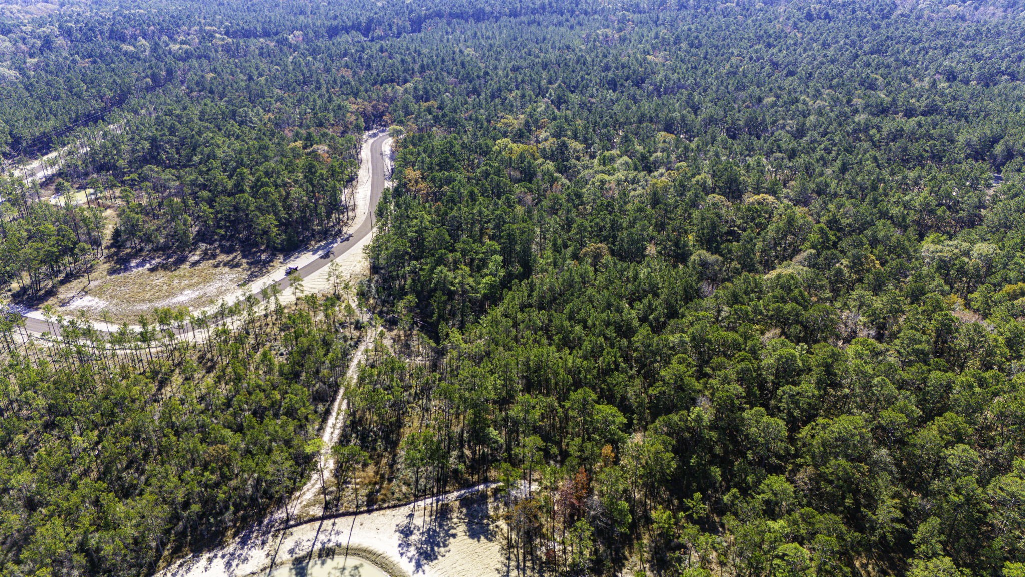 25 Magnolia Ranch Road Onalaska, TX 77360 - Photo 8 of 18 a view of a forest with a tree