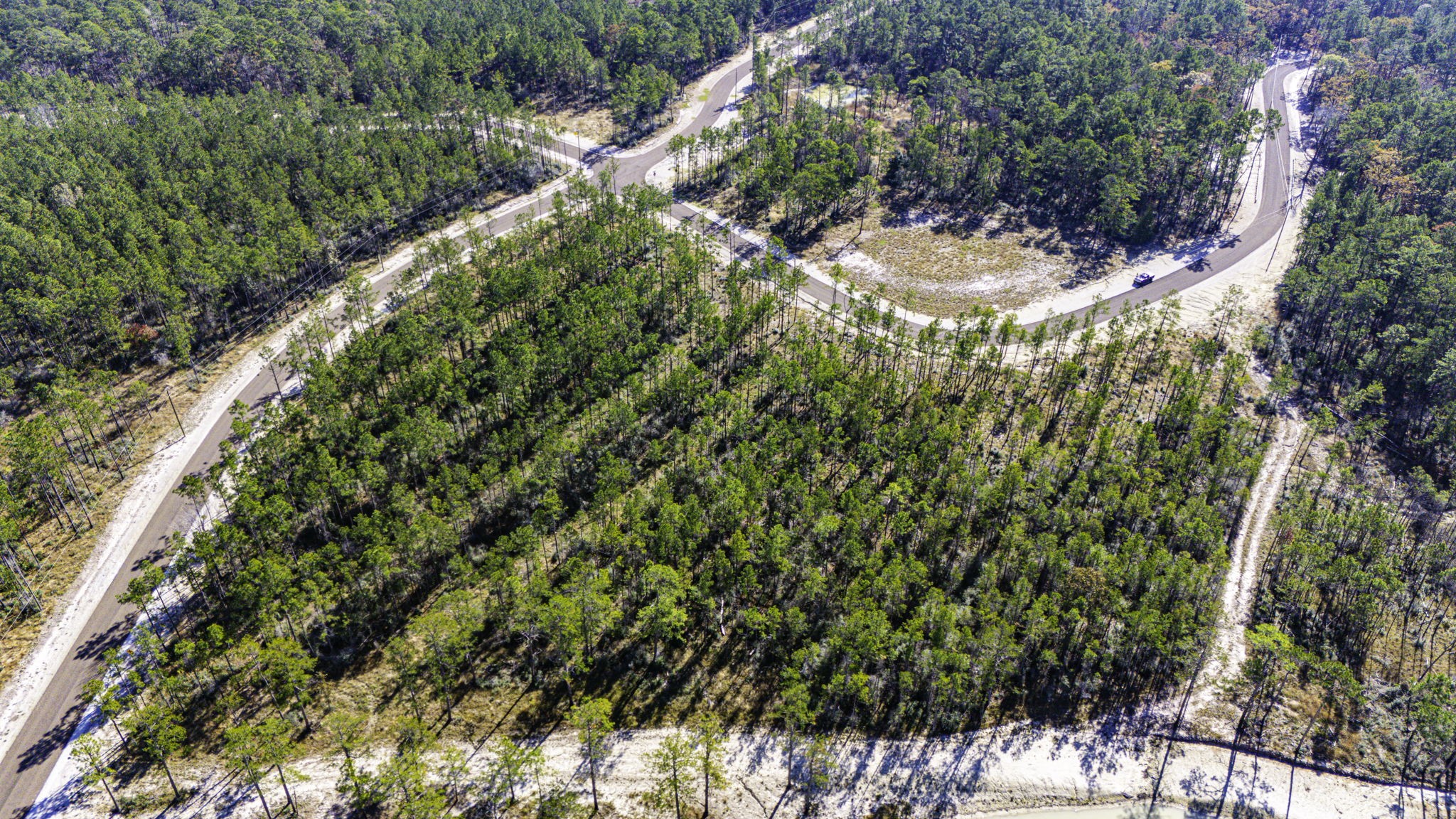 25 Magnolia Ranch Road Onalaska, TX 77360 - Photo 9 of 18 a picture of tree