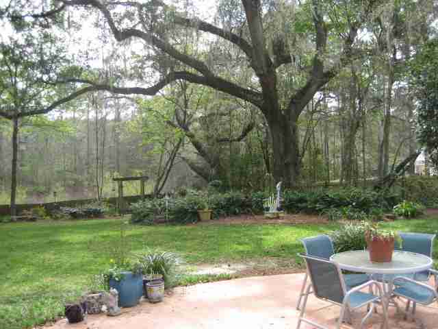4738 Highgrove Road, Unit 2 Tallahassee, FL 32309 - Photo 2 of 25 Gallery Image 2