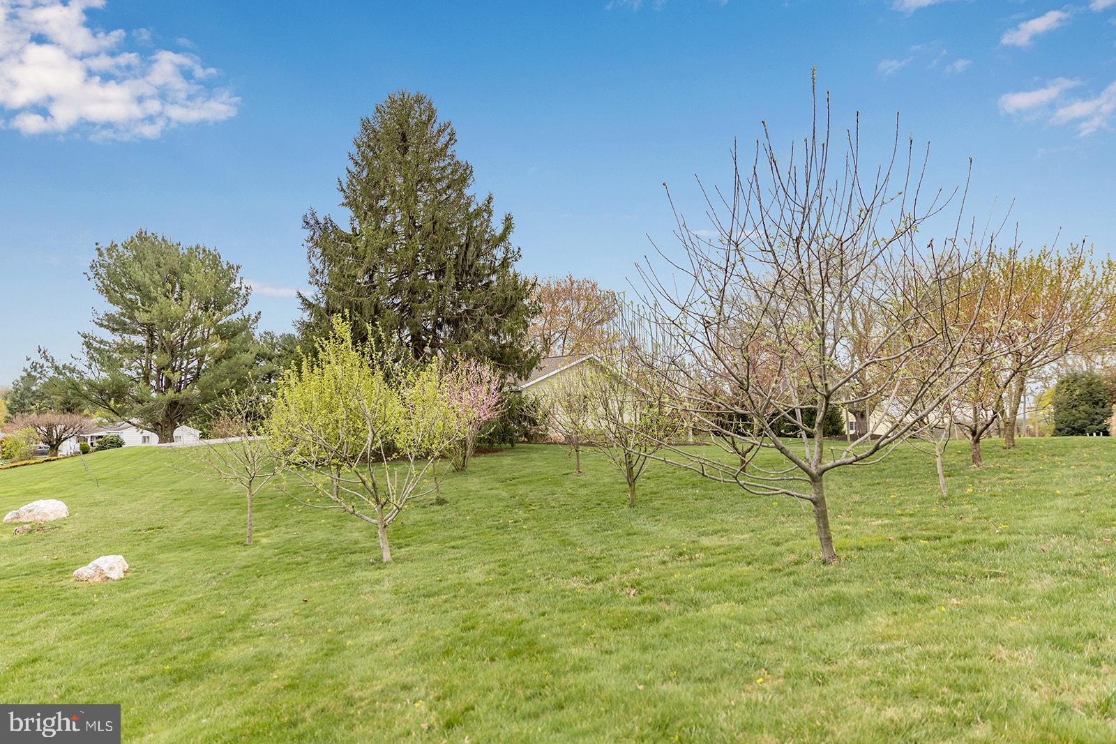 1855 Deer Park Road Finksburg, MD 21048 - Photo 23 of 26 Beautiful orchard next to the home