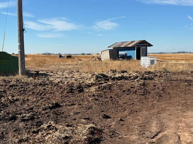a view of a sky from a yard