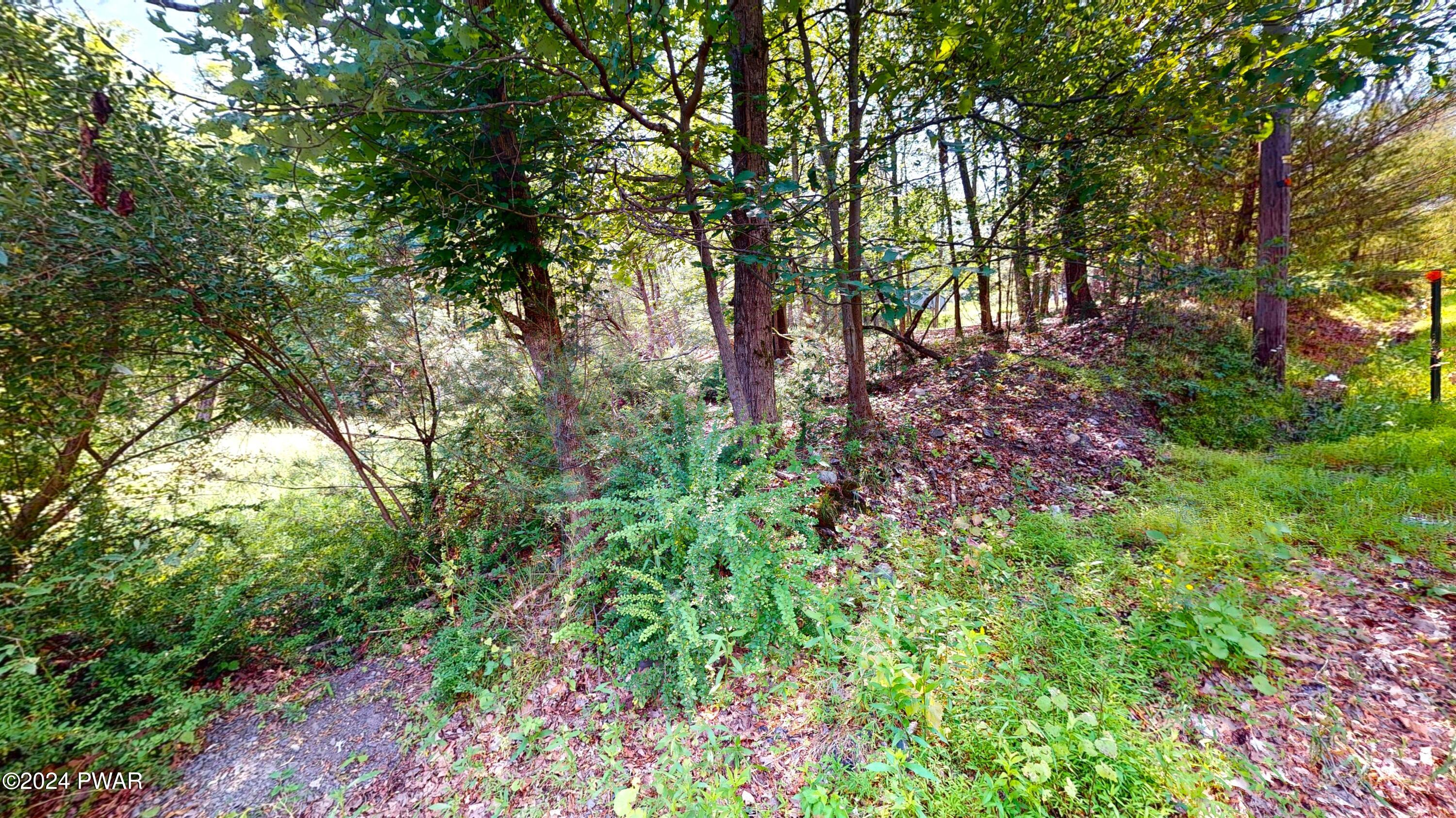 137 Heaters Hill Road Matamoras, PA 18336 - Photo 8 of 12