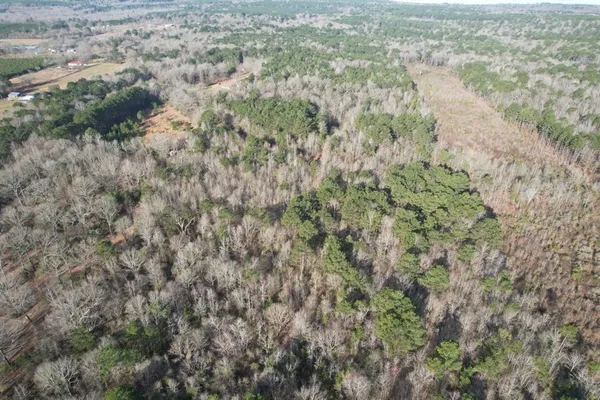 $144,032 | 3659 County Road 3659, Queen City, TX 75572
